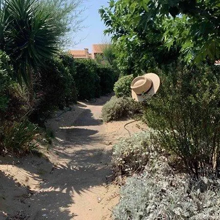 T3, 6 Pers., Front De Mer, Parking - Fr-1-607-199 阿格德