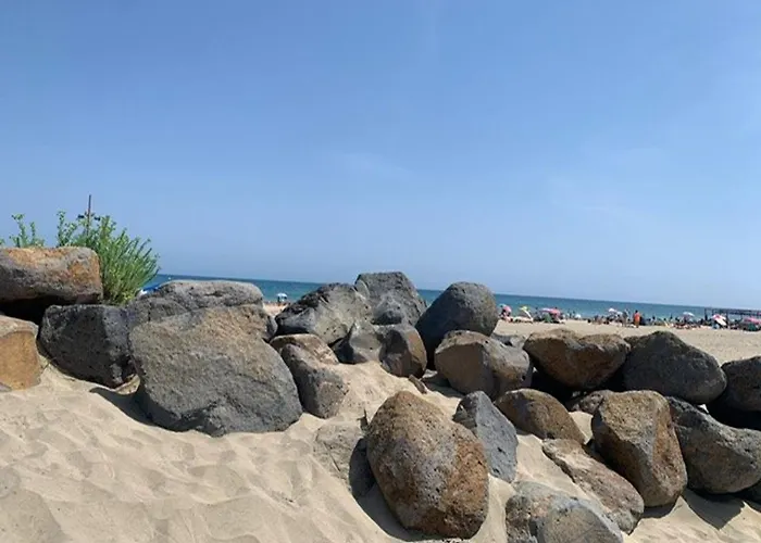 T3, 6 Pers., Front De Mer, Parking - Fr-1-607-199 *